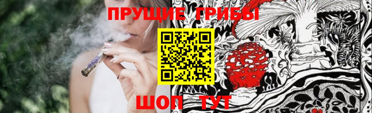 Галлюциногенные грибы прущие грибы  Вход с VPN  Пугачёв  Псилоцибиновые грибы MAGIC MUSHROOMS 